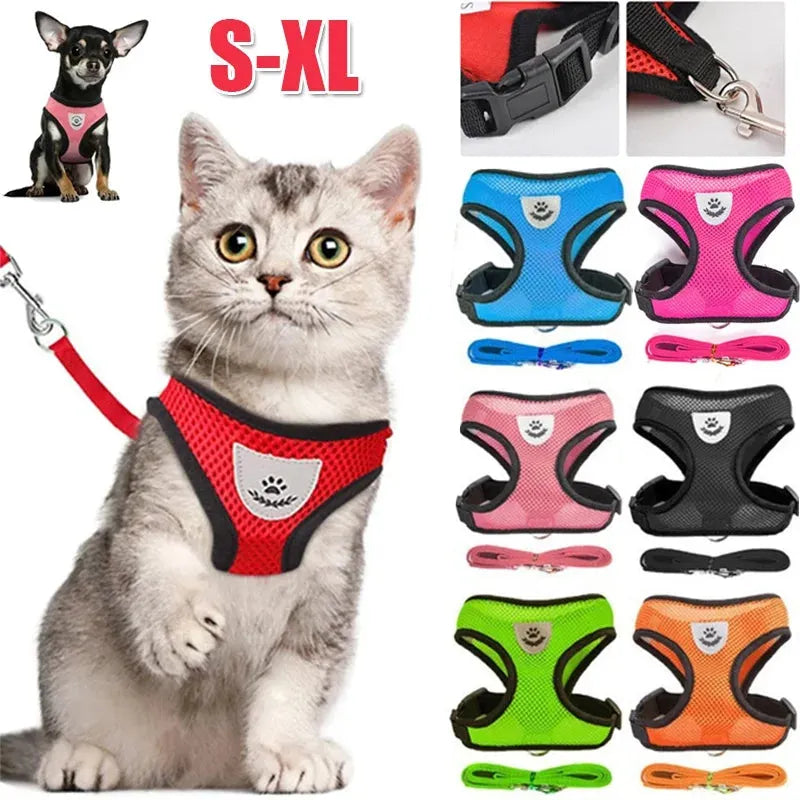 Arneses con Correa Ajustables para Gatos y Perros - Gifteando